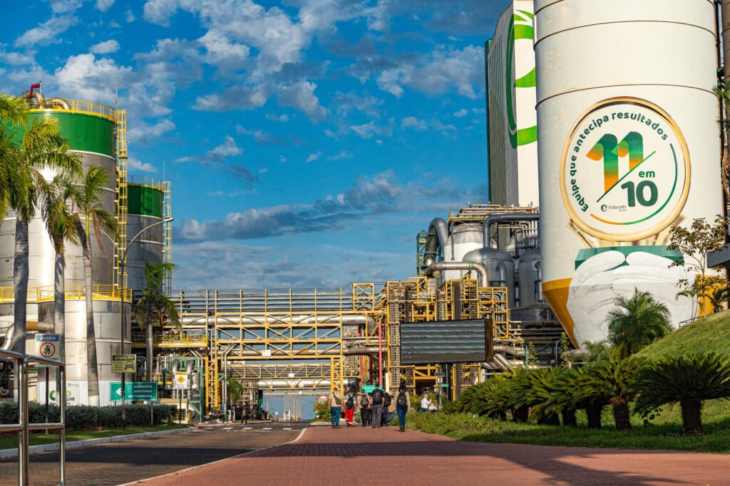 Eldorado Apresenta Novo Vídeo Institucional e Consolida Identidade e Estratégia de Longo Prazo