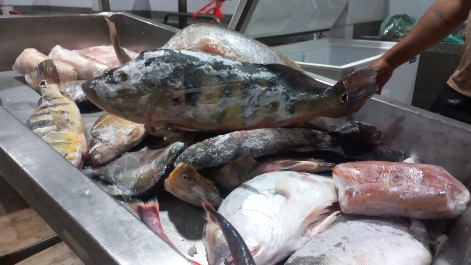 Comerciantes de Três Lagoas esperam recorde de vendas na Feira do Peixe durante a Semana Santa