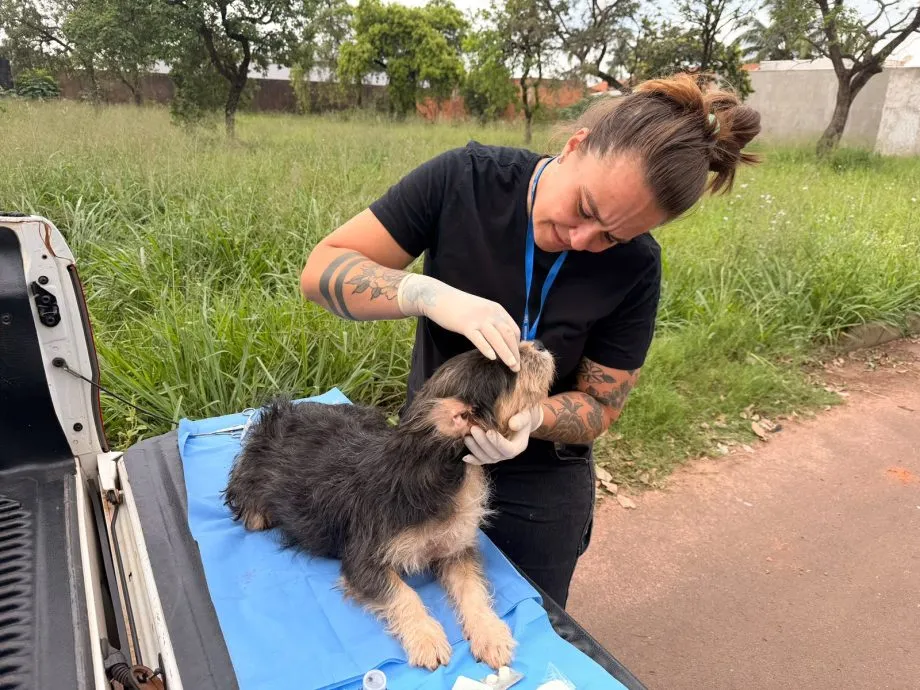Três Lagoas inicia atendimento veterinário no Jardim Santa Júlia