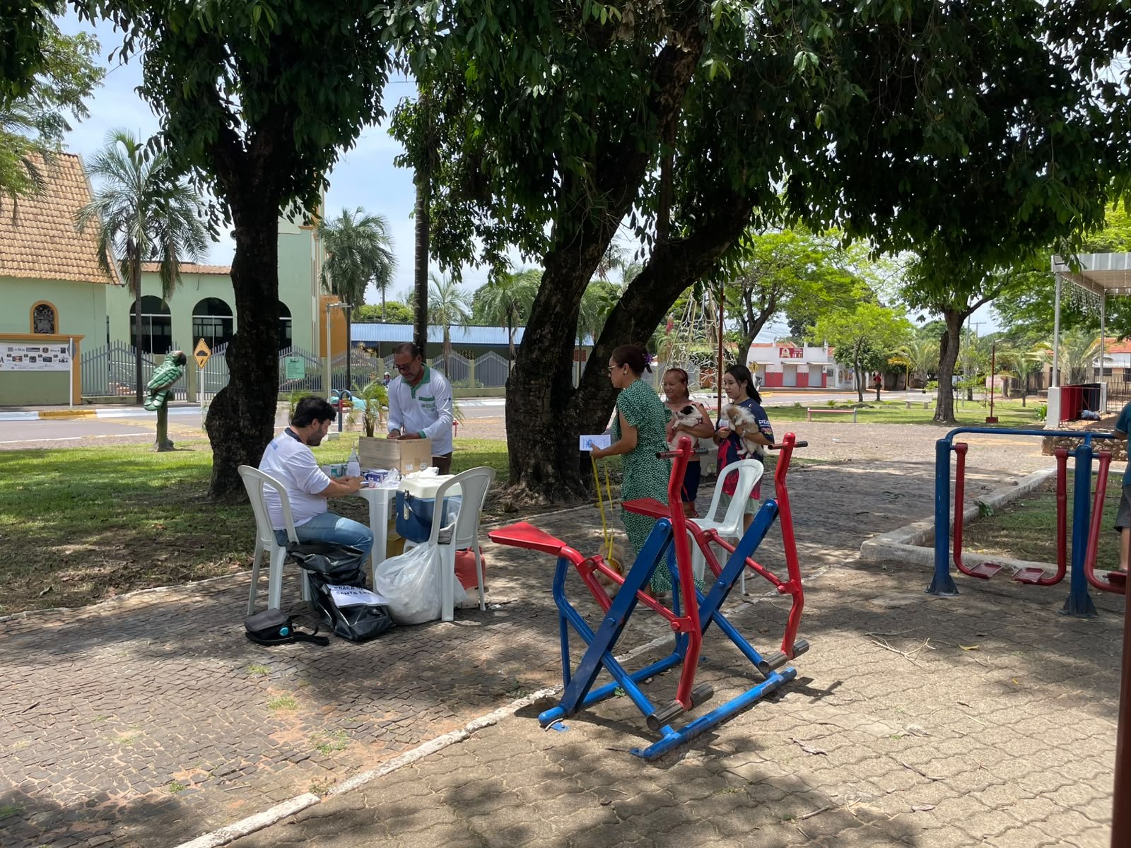 19 pontos aplicam vacina antirrábica gratuita em cães e gatos