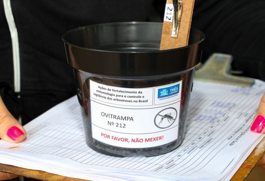 12.487 ovos do Aedes aegypti são coletados em Três Lagoas