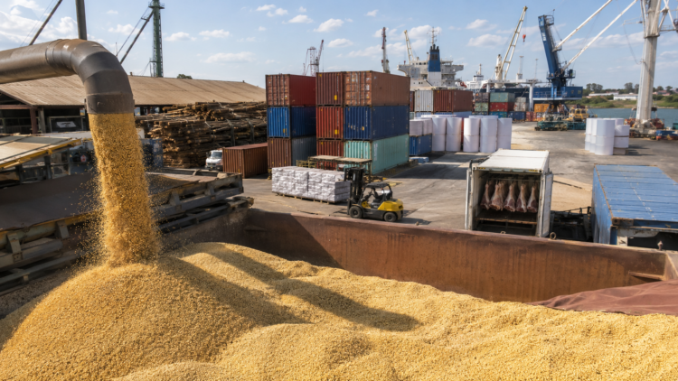 Exportações impulsionam superávit comercial de Mato Grosso do Sul em 17,8% no ano de 2026