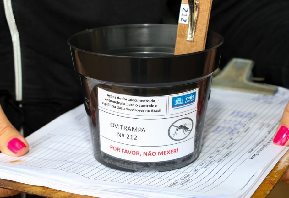 Quase 13 mil ovos do mosquito da dengue são coletados em Três Lagoas