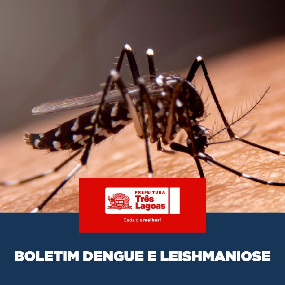 BOLETIM DENGUE E LEISHMANIOSE – 27 de maio de 2026