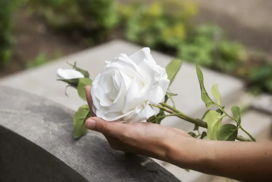 Flores e velas ganham pesquisa de preços pelo Procon em Três Lagoas