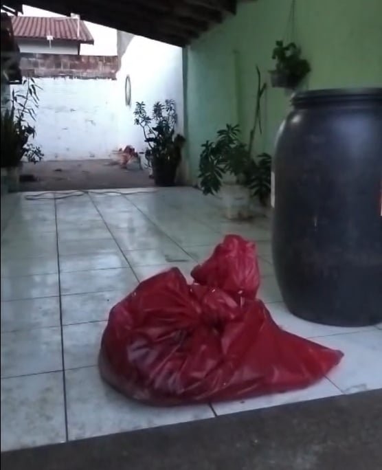 Maus-tratos a animais em Três Lagoas resultam em prisão e resgate; veja fotos