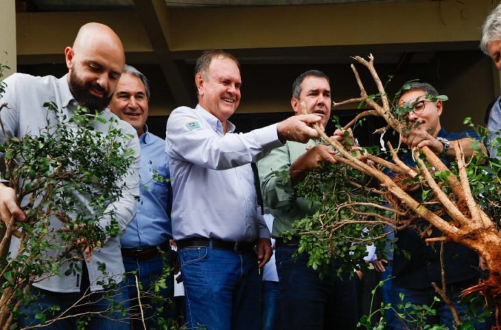 MS impulsiona citricultura com evento e ações de apoio na Capital
