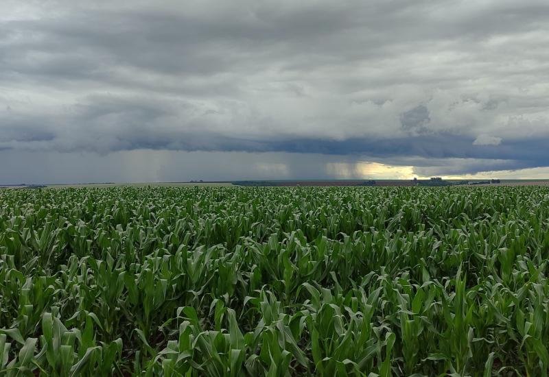 Chuva acima da média e El Niño colocam Mato Grosso do Sul em alerta