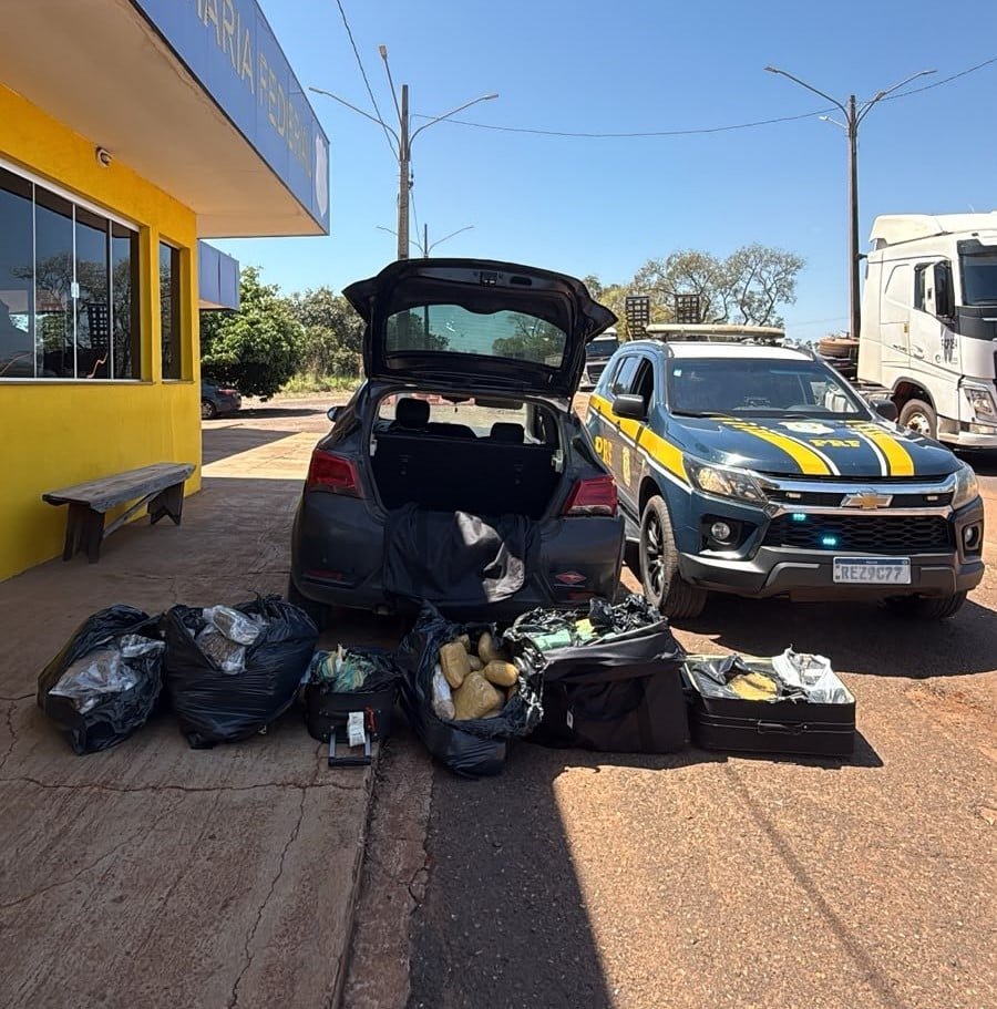 Mais de 144 kg de drogas saem de circulação pela PRF na BR-262