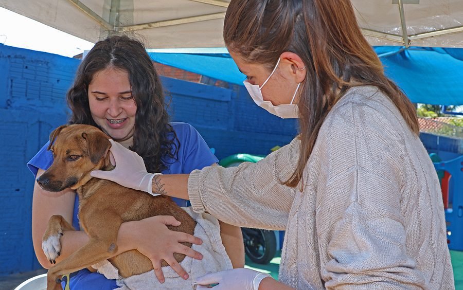 Castramóvel encerra atendimentos no Novo Oeste nesta quinta-feira (14) e segue para o bairro Interlagos na próxima terça-feira (19)