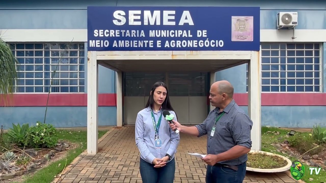 SEMEA detalha procedimento de recolhimento de animais soltos nas ruas de Três Lagoas