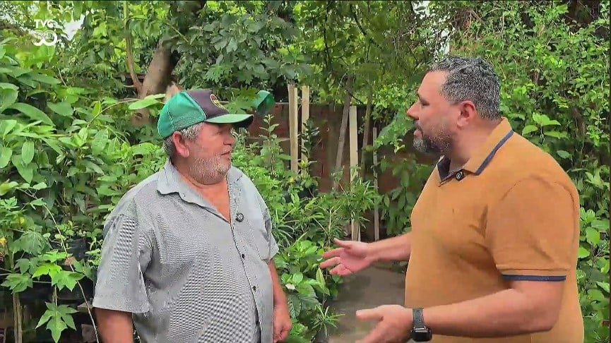Morador transforma quintal na rua Cacilda Arantes em viveiro com 300 plantas
