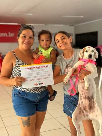 Feira de adoção encontra novos lares para três cães em Três Lagoas (MS)
