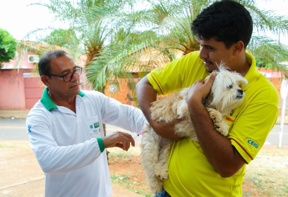 19 locais aplicam vacina antirrábica gratuita em cães e gatos