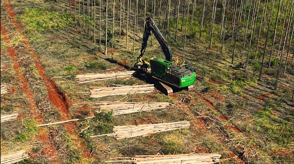 Arauco abre inscrições para qualificação de operadores e mecânicos florestais em seis municípios de MS