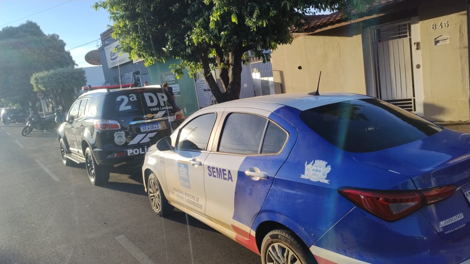 Polícia Civil Prende Mulher em Três Lagoas por Maus-Tratos a Animais Resultando em Morte