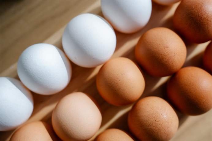 Anvisa desmente boato sobre ovos de plástico e reforça a segurança do consumo no Brasil, em Três Lagoas MS