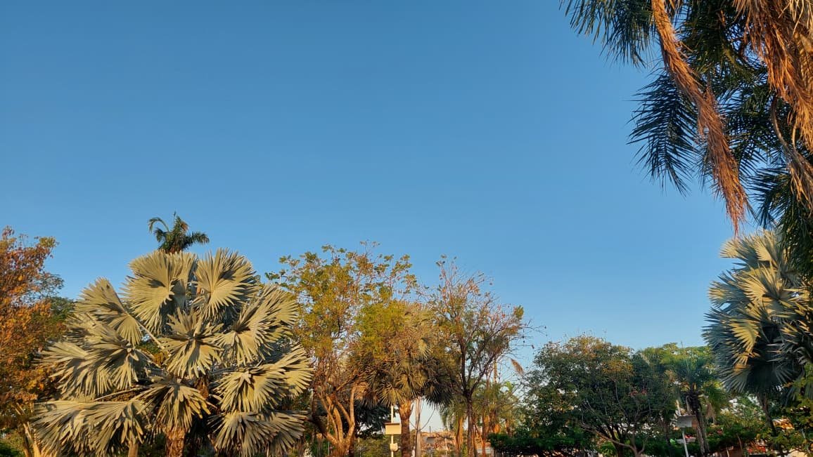 Três Lagoas terá quinta-feira de calor com chance de chuva