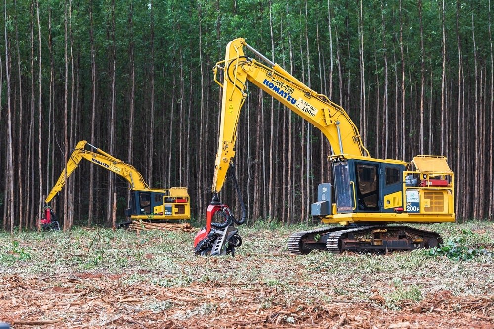 Suzano promove mutirão de emprego com contratação imediata em Água Clara (MS)