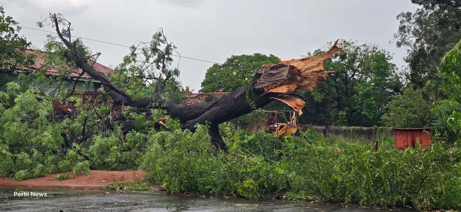 Temporal com ventania derruba estrutura metálica e árvores em Três Lagoas