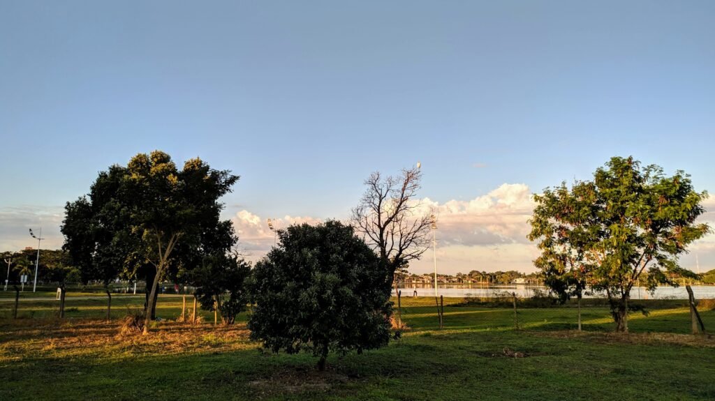 Sol, calor e chance de chuva marcam a sexta-feira em Três Lagoas