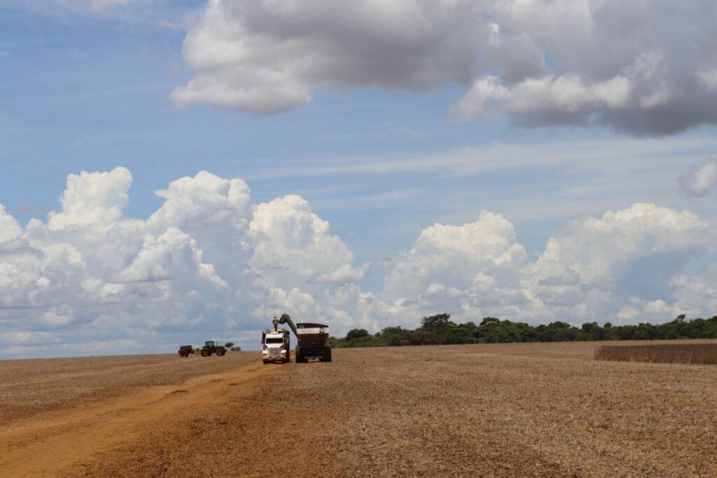 Mato Grosso do Sul mantém superávit com exportações de US$ 2,51 bilhões no 1º trimestre de 2026
