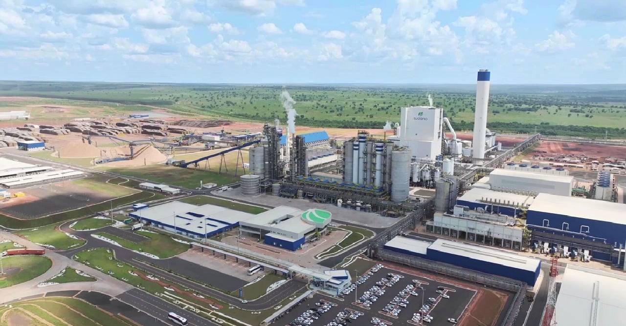 Suzano abre vagas de emprego em Três Lagoas, Ribas do Rio Pardo e Brasilândia