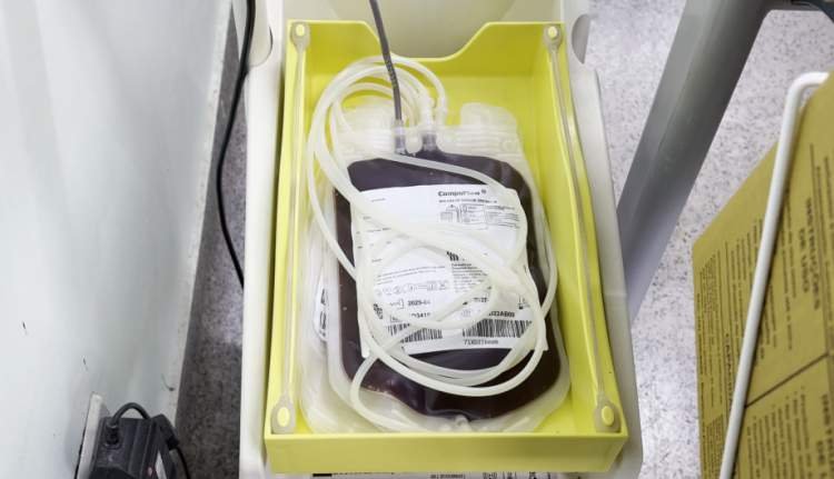 Hemosul Três Lagoas Reitera a Importância da Doação de Sangue na Cidade