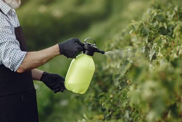 Iagro libera 15 novos agrotóxicos para venda em MS, incluindo dois de alta toxicidade