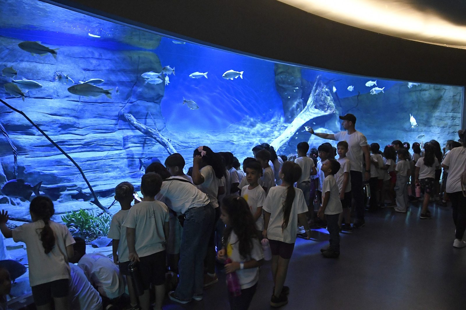 Mato Grosso do Sul: Referência Nacional em Turismo e Inovação em 2025