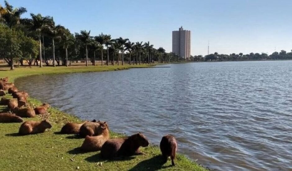 Tempo instável em Três Lagoas: Previsão de chuva forte para esta quinta-feira