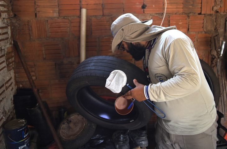 MS registra mais de 12 mil casos prováveis de chikungunya em 2026