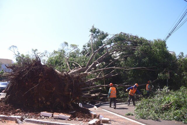 Prefeitura de Campo Grande decreta situação de emergência após temporal