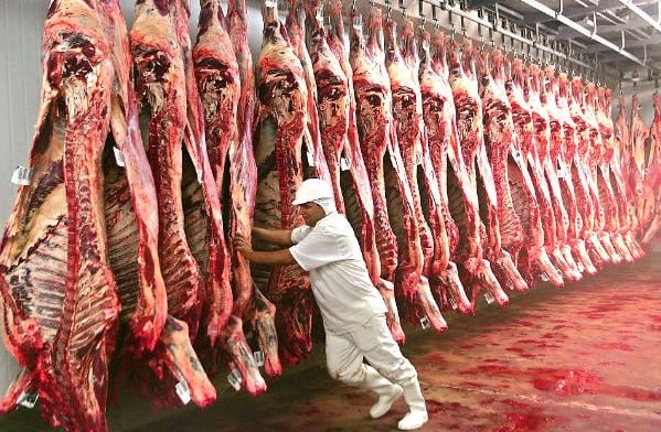 Bloqueio da União Europeia à carne brasileira inicia nesta quinta-feira