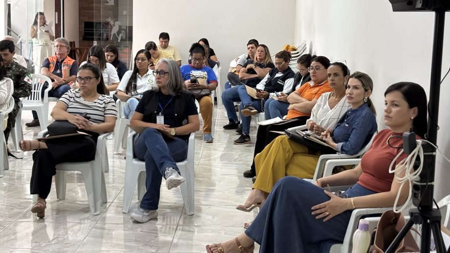 Comitê de Mobilização intensifica atividades e planeja blitz educativa contra o Aedes aegypti em Três Lagoas