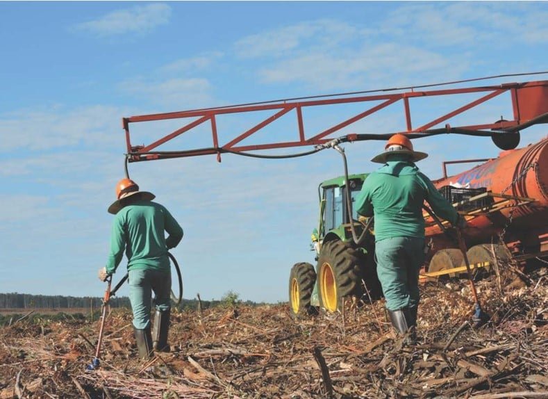 Região de Três Lagoas Sente Forte Pressão por Trabalhadores em Diversos Setores