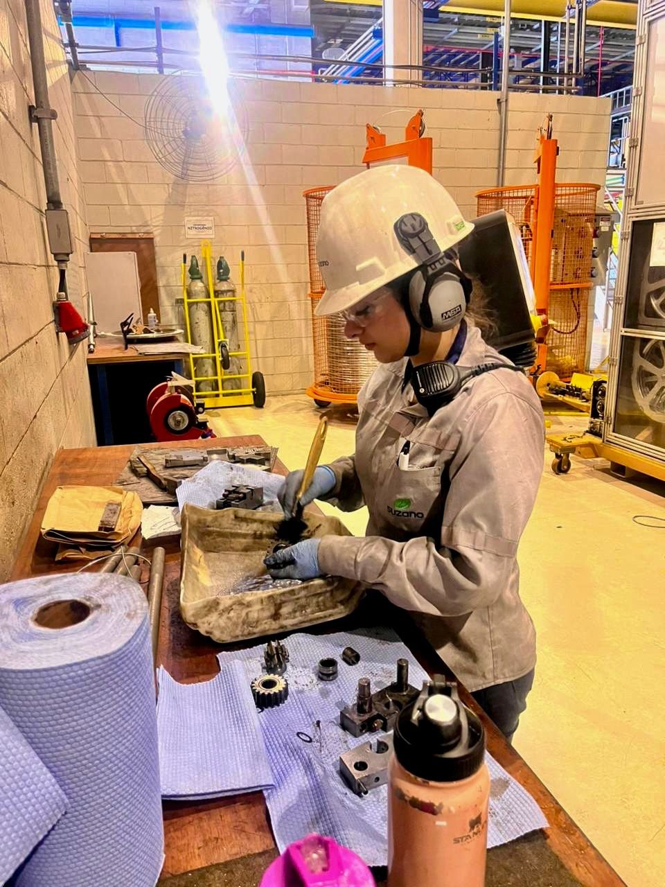 Suzano Impulsiona Inclusão Feminina com 556 Contratações em Mato Grosso do Sul até 2025