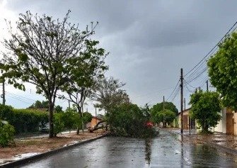 Vendaval assusta moradores e provoca queda de árvores em Três Lagoas e região